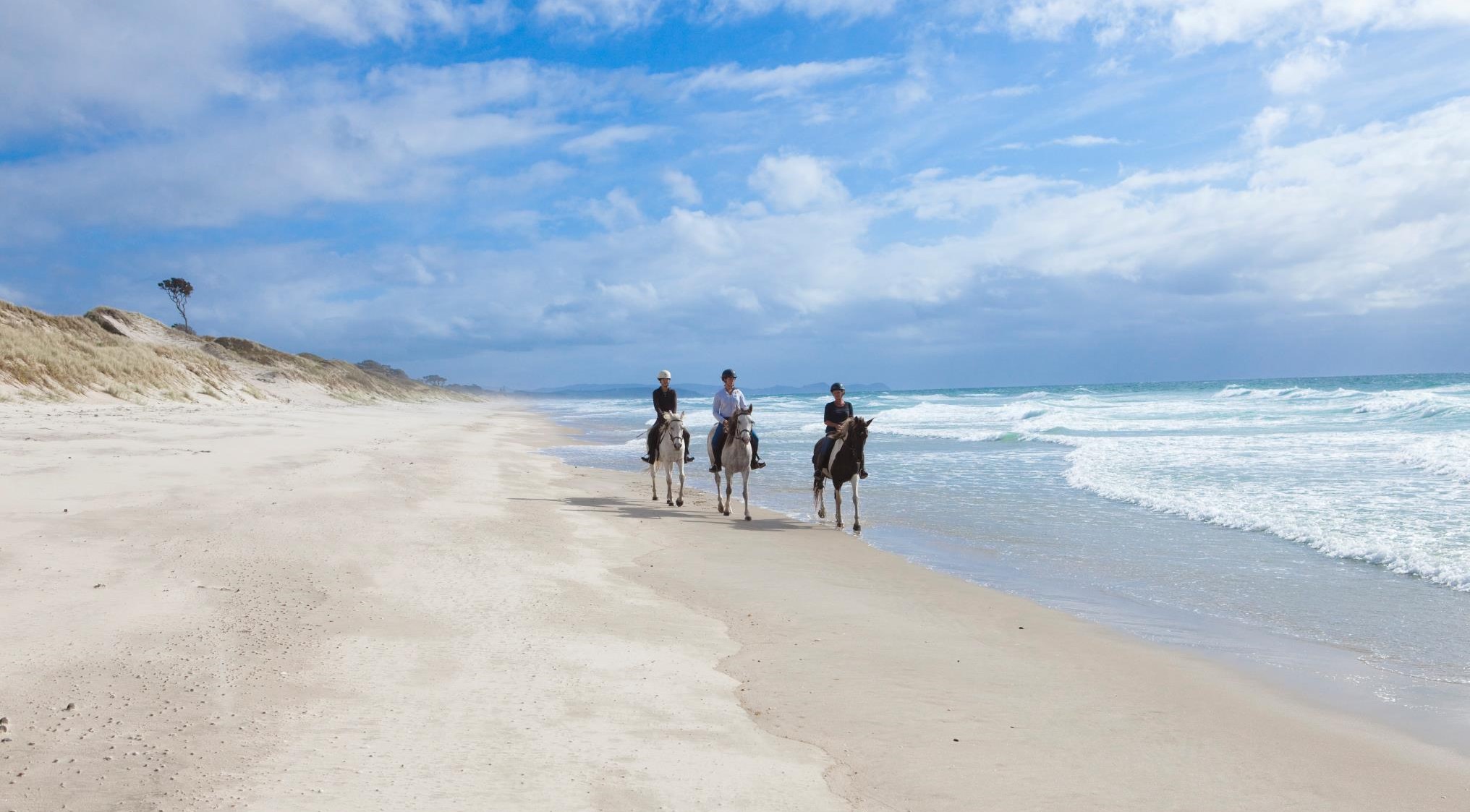 Pakiri Beach horse rides