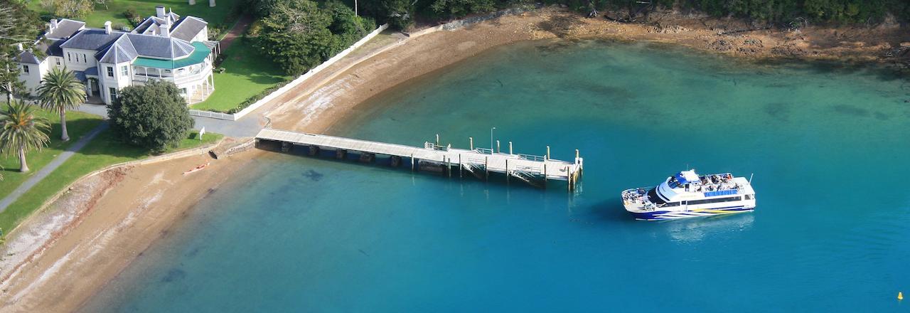 what to do in Matakana