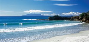 Tawharanui park