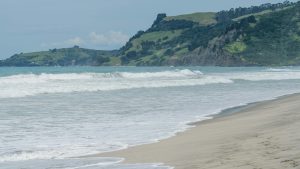Ohmaha Beach, Matakana New Zealand in 2026